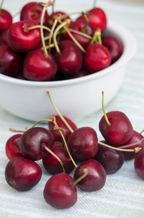 bowl-cherries-italy-private-cycling-tours