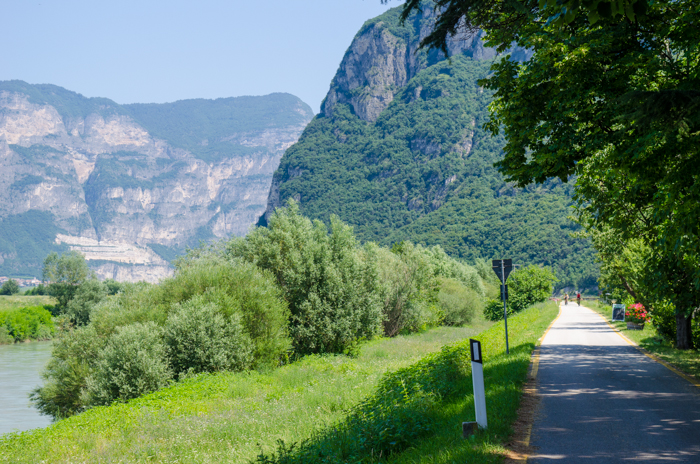 cherry-trees-trentino-private-cycling-tours-italy