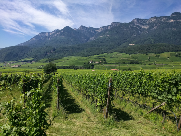 castel-ringberg-view-private-bike-tours-italy