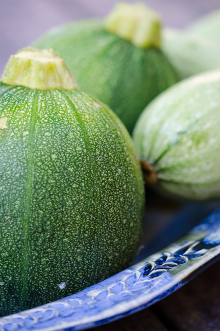 round-zucchini-cycling-tours-italy