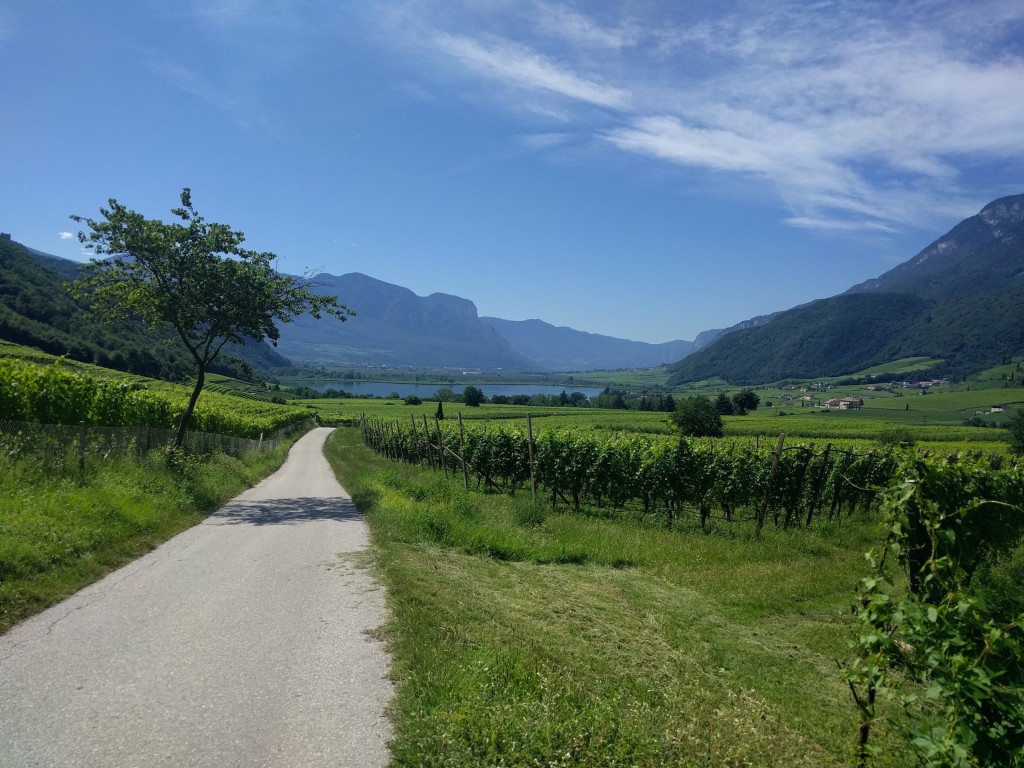 vineyards-cycling-tour-italy