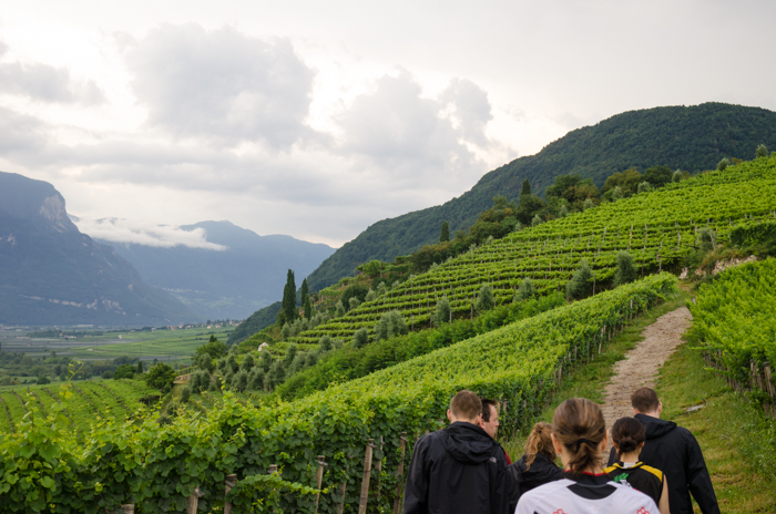 wine-tour-tramin-walking-tour-italy