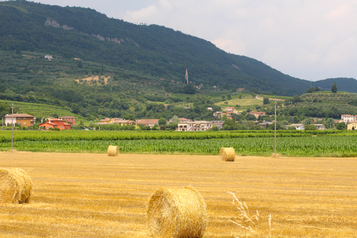 fields-vicenza-italy-walking-tours