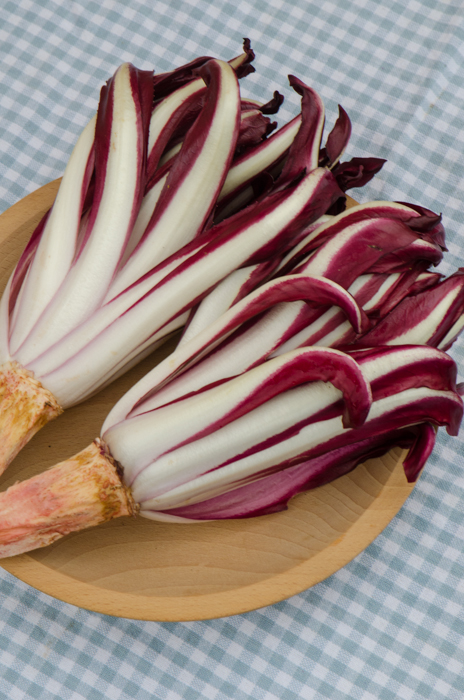 radicchio-tardivo-italy-walking-tours