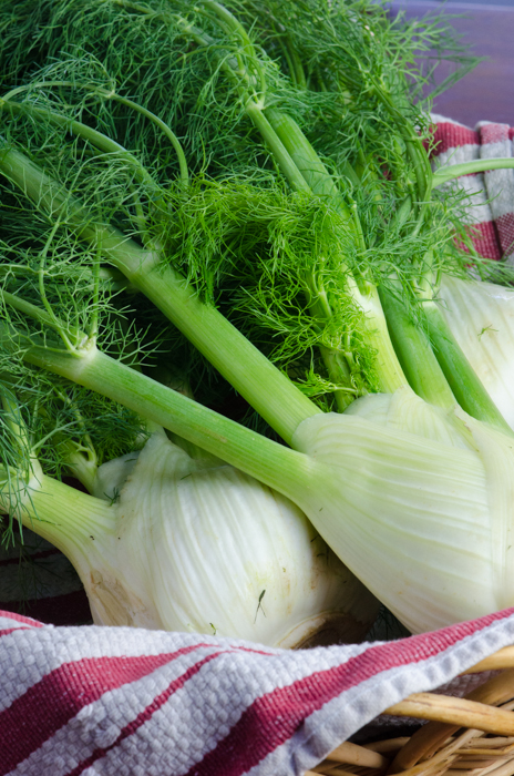 fennel-basket-italy-private-walking-tours