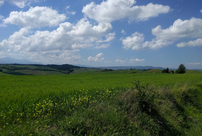 tuscany-landscape-walking-tours-italy