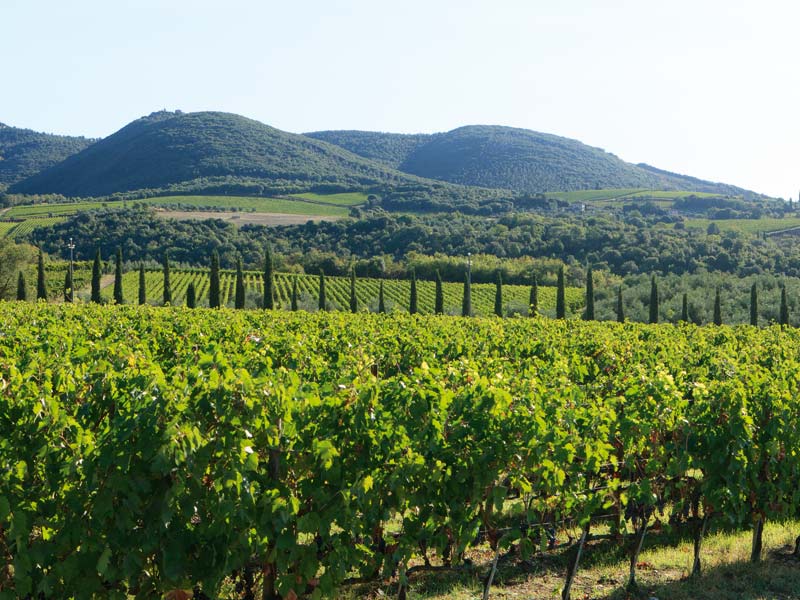 chianti_panorama-private-bike-tour-tuscany