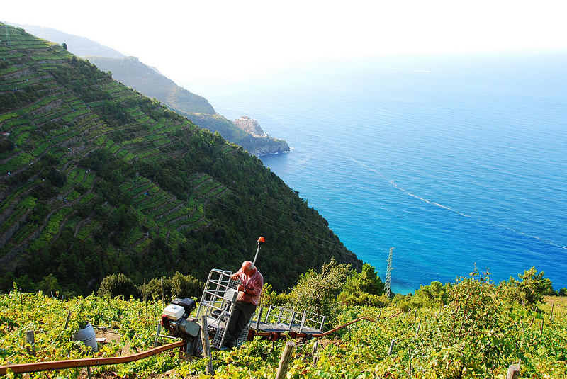 vineyard-monorail-liguria-walking-tours