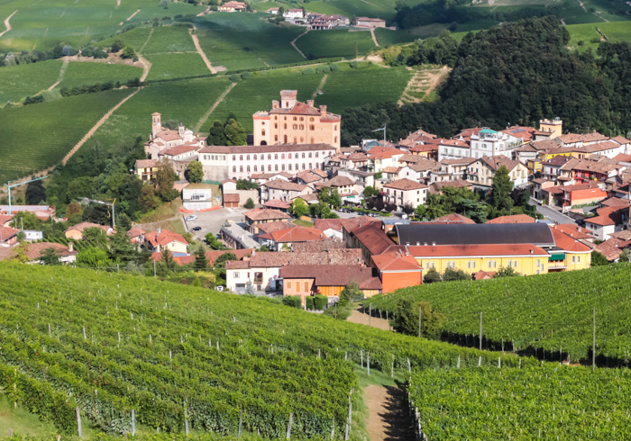 barolo-view-piedmont-walking-tours