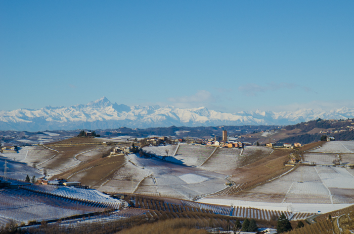 view-barbaresco-wine-tours-barolo