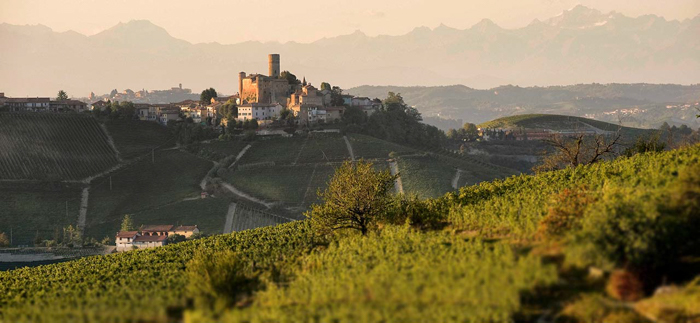 castiglione-vineyards-piedmont-wine-tours-barolo