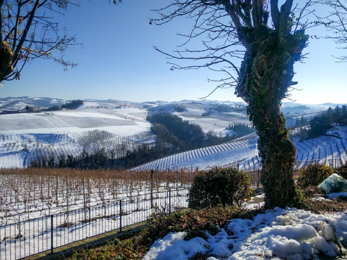 winter-vineyards-piedmont-wine-tours-barolo