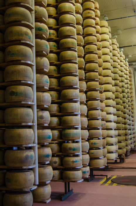 parmegiano-cheese-maturation-private-tours-italy