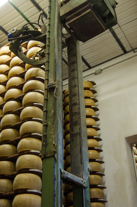parmegiano-cheese-turning-machine-private-tours-italy