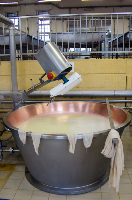 parmegiano-cheese-vats-private-tours-italy