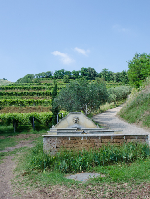pra-fountain-montegrande-italiaoutdoors-private-wine-tours