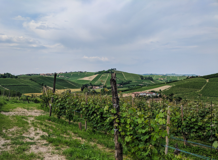 vineyard-hills-walking-tours-piedmont-italiaoutdoors.jpg