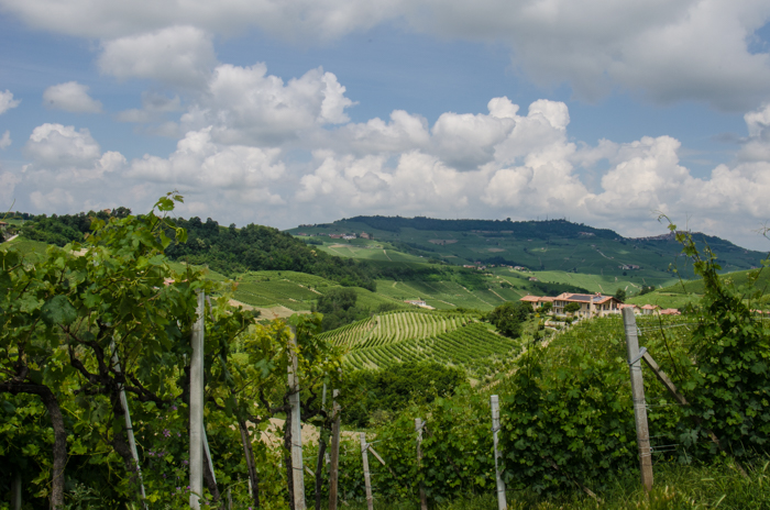 costa-di-bussia-nebbiolo-barolo-walking-tour-italiaoutdoors