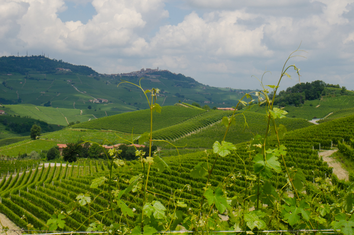 costa-di-bussia-view-barolo-walking-tour-italiaoutdoors