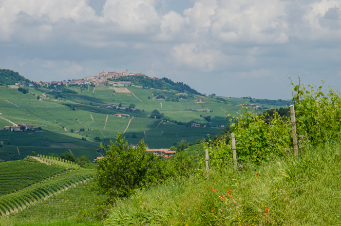 costa-di-bussia-view