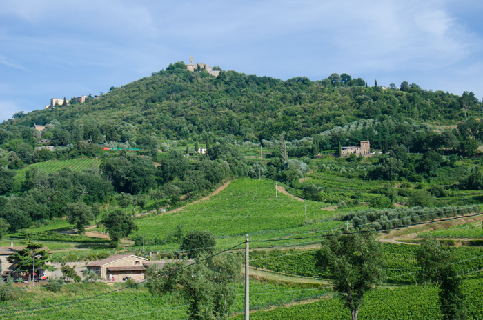 montalcino-hillside-italy-wine-tour-italiaoutdoors