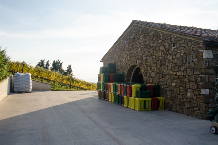 il-palazzone-cellar-back-private-wine-tours-italiaoutdoors