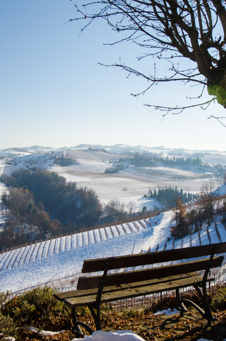 serralunga-italy-private-wine-tours-italiaoutdoors