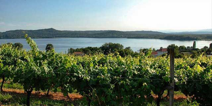 piedmont-erbaluce-vineyards-wine-private-tours-italiaoutdoors