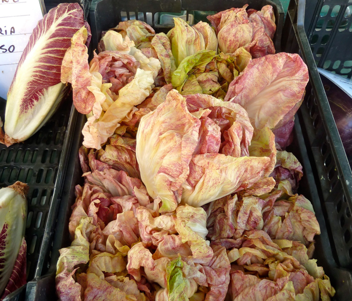 radicchio-market-wine-bike-tours-umbria-copy-smaller