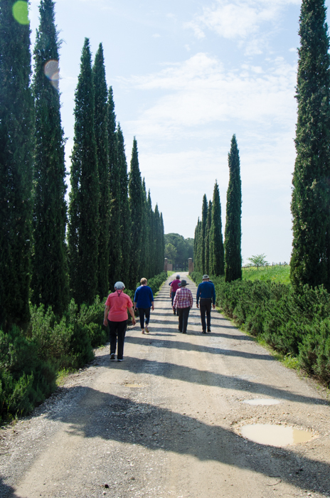 Private Tuscany Tours