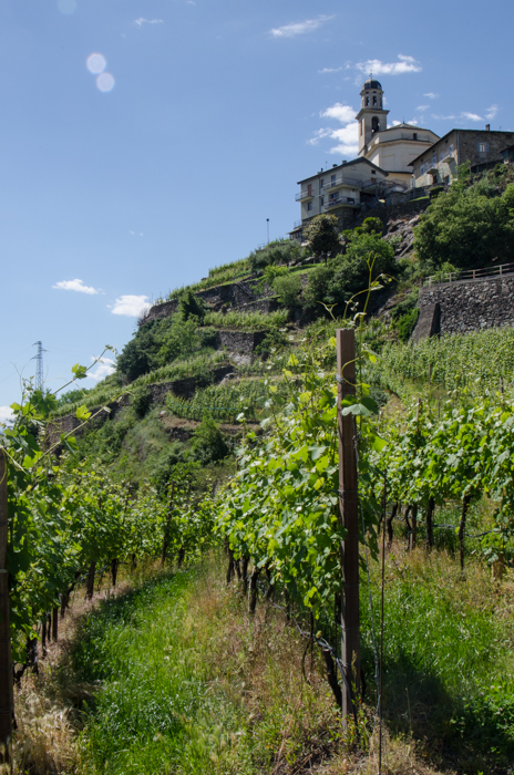 inferno-vineyard-terraces-private-italy-tours-italiaoutdoors