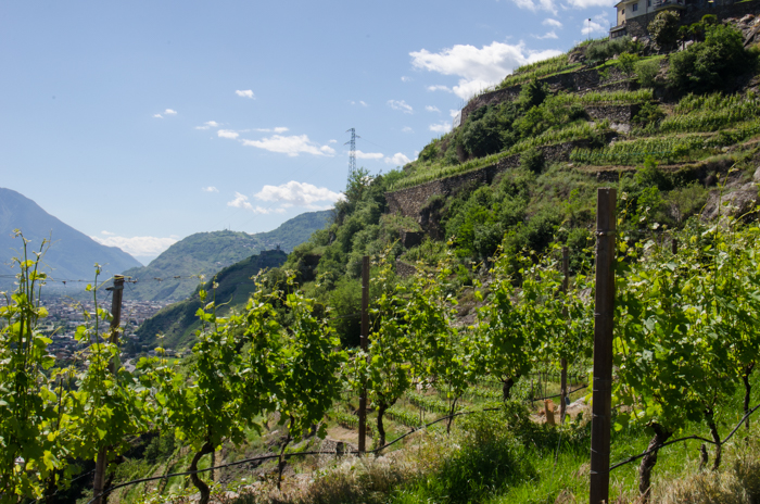 negri-view-east-private-italy-tours-italiaoutdoors