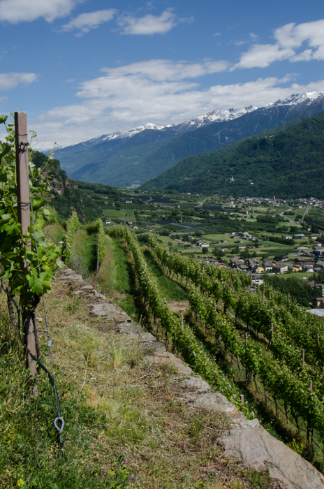 negri-view-west-private-italy-tours-italiaoutdoors