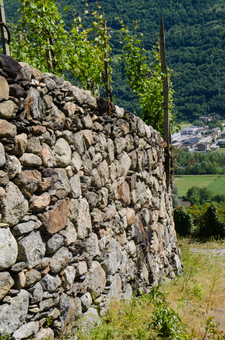 terrace-vineyard-walls-private-italy-tours-italiaoutdoors