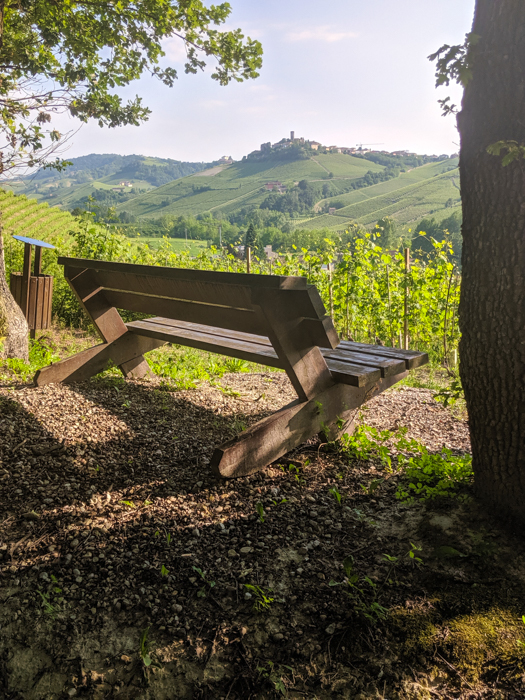 evening-walk-piedmont-italiaoutdoors-walking-tours-italy