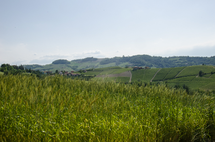 oats-rivetto-private-italy-tours-italiaoutdoors