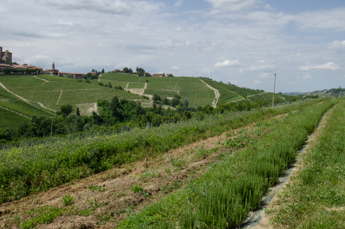 rosemary-rivetto-private-italy-tours-italiaoutdoors