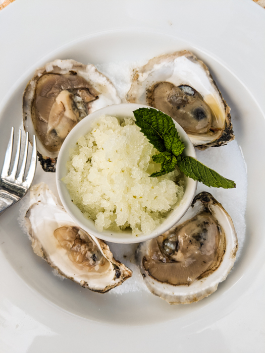 granita-oysters-italiaoutdoors-private-sicily-tours